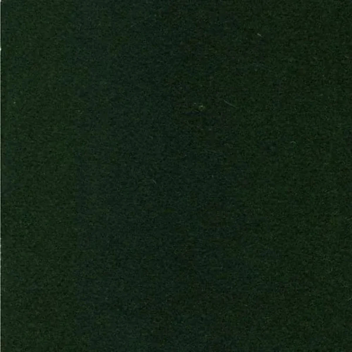 Avocado skin